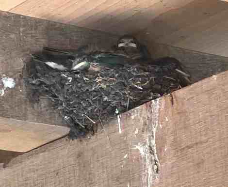 what are you looking at?